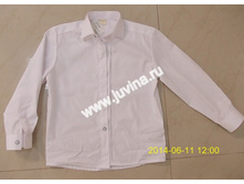 rDSCN8390 (����������).jpg