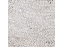 ���. ������