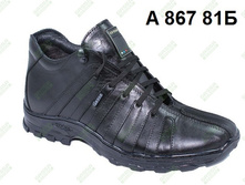 1800�. A 867 81�