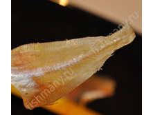 �������� 510�. 1 ��.jpg