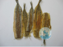 �������� (���� ����) 435�. ��.jpg