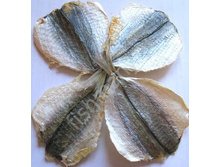 ����������� ��������� 380�. 1 ��.jpg