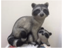 ������� ���� � ���������.png