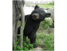 ������� ���������� MG26---05100.png