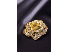 ����� ��-13/21