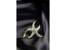 ����� ��-13/34