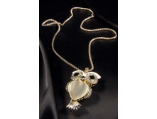 ������ �-6/19-1