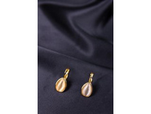 ������ �-310/11