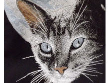 ����� "����� � ����"