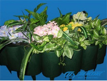 ������� �������.jpg