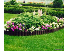 ������� �����������