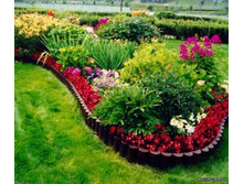 ������� ����������� ����������