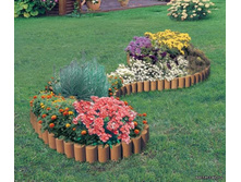 ������� ����������� ��������.jpg