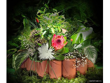 ������� ����������� ��������