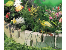 ������ ������.jpg