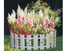 ������� �����.jpg