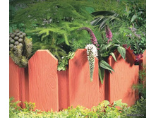 ������ ��������.jpg