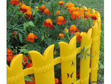 ������� ������.jpg