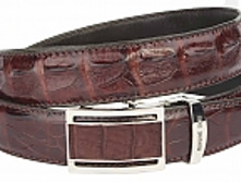 R�-1022S-4 ������ �� ���� ���������, ������ ������� ������+���� ,���� ���������� 4181 ���..jpg