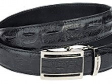 R�-1021S-4, ������ �� ���� ���������, ������� �����, ������ �������, ���������� 4181 ���..jpg