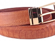 RST-1017, ������ �� ���� �������, �������� �����,������ �������, ���� ����� 2618 ���..jpg