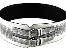 RS-1110, ������-������ �� ���� ����, ���� ����� � ����������� �������� 2869 ���..jpg