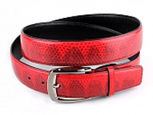 RS-1014, ������ �� ���� ���� ���� ������� � ����������� �������� 1431 ���..jpg