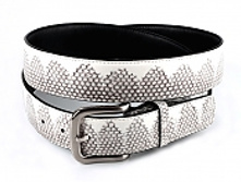 RS-1010, ������ �� ���� ���� ���� ����� � ����������� �������� 1431 ���..jpg