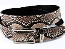 RP-1020, ������ �� ���� ������, ������ ���� ���� ������� � ����������� �������� 2201 ���..jpg