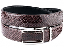 RP-1012, ������ �� ���� ������, ������ �������, ���� ���������� 2201 ���. - �����.jpg