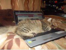 DSCN5247.JPG