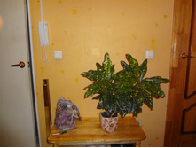 DSC03361.JPG