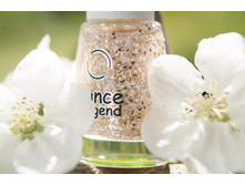 Dance Legend ��� SPECIAL