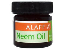 Alaffia, Basics, ����� ���, 0.8 oz (24 ml)