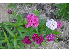 ���������.�����