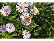 ��������������