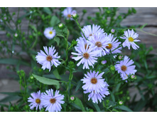 ��������������