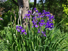 ���� ��������� ����� ���� ���� 70��� �����  !!! 3�� �� ���� 2-�