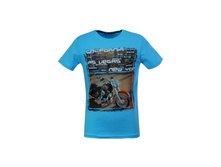 3291 ���������