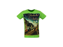 5335 ���������