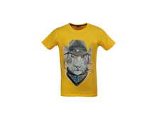 5354 ������