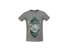 5354 �����