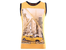 70605189_���������