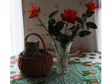 ����������� 082.jpg