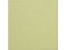 3809-010 ����������.jpg