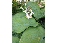 �����  80�