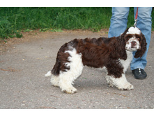 � ������ �� �������.JPG