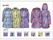 ���� ��� ������� No 806