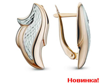 1006930080.jpg