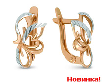 1006930245.jpg